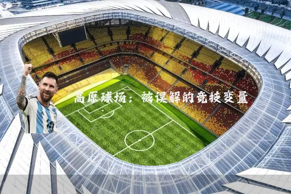 高原球场：被误解的竞技变量