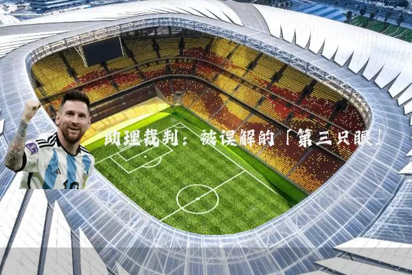 助理裁判:被误解的「第三只眼」